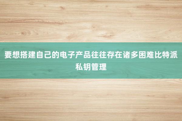 要想搭建自己的电子产品往往存在诸多困难比特派私钥管理