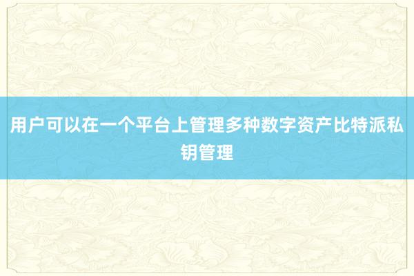 用户可以在一个平台上管理多种数字资产比特派私钥管理