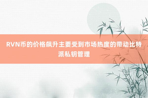 RVN币的价格飙升主要受到市场热度的带动比特派私钥管理