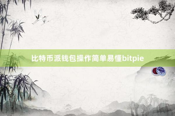 比特币派钱包操作简单易懂bitpie