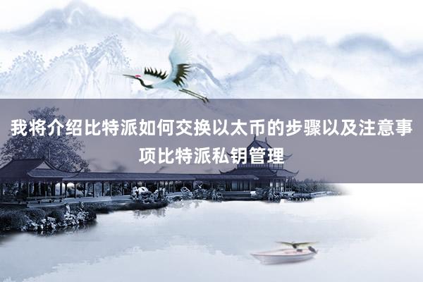 我将介绍比特派如何交换以太币的步骤以及注意事项比特派私钥管理