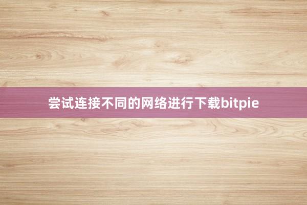 尝试连接不同的网络进行下载bitpie