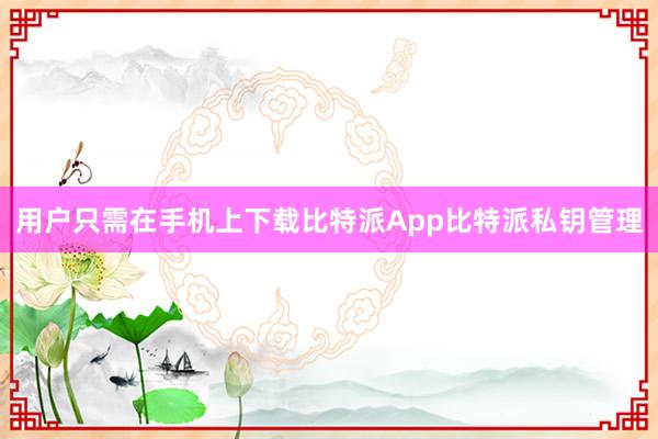 用户只需在手机上下载比特派App比特派私钥管理