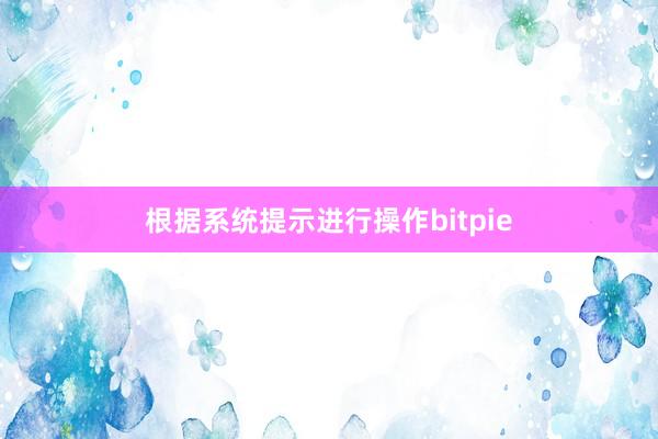 根据系统提示进行操作bitpie