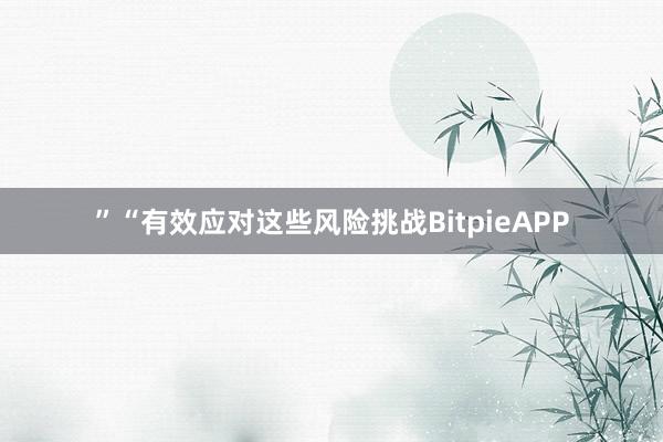 ”“有效应对这些风险挑战BitpieAPP