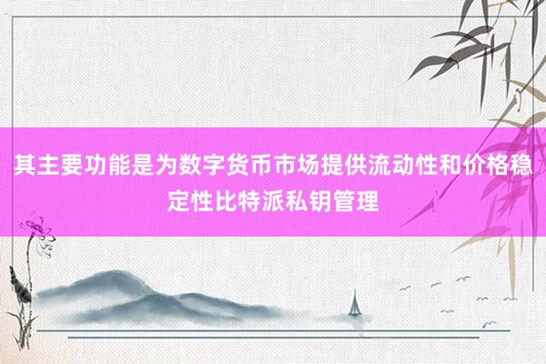 其主要功能是为数字货币市场提供流动性和价格稳定性比特派私钥管理