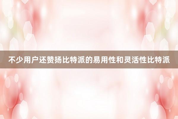 不少用户还赞扬比特派的易用性和灵活性比特派