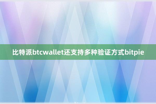 比特派btcwallet还支持多种验证方式bitpie