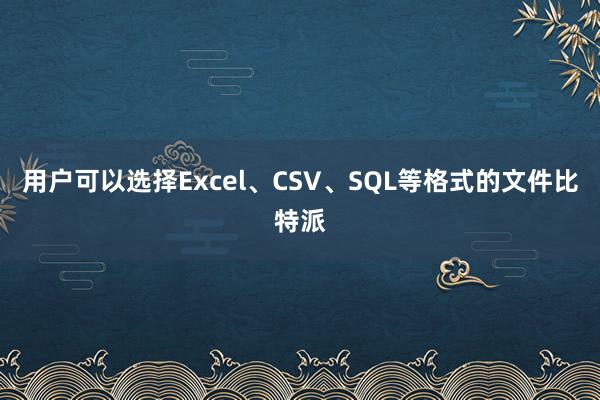 用户可以选择Excel、CSV、SQL等格式的文件比特派