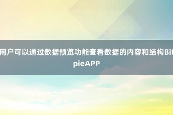 用户可以通过数据预览功能查看数据的内容和结构BitpieAPP