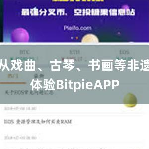 从戏曲、古琴、书画等非遗体验BitpieAPP