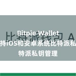 Bitpie Wallet目前支持iOS和安卓系统比特派私钥管理