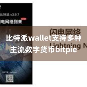 比特派wallet支持多种主流数字货币bitpie